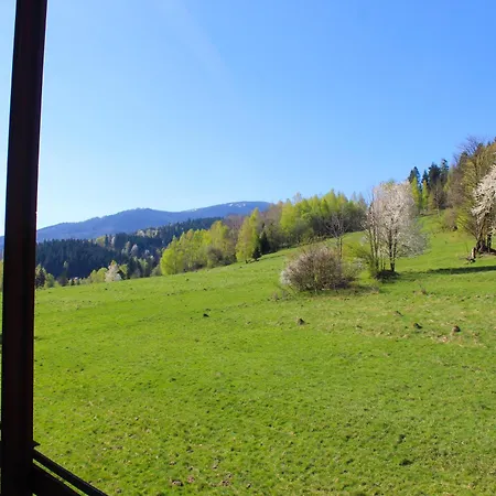 Panorama *